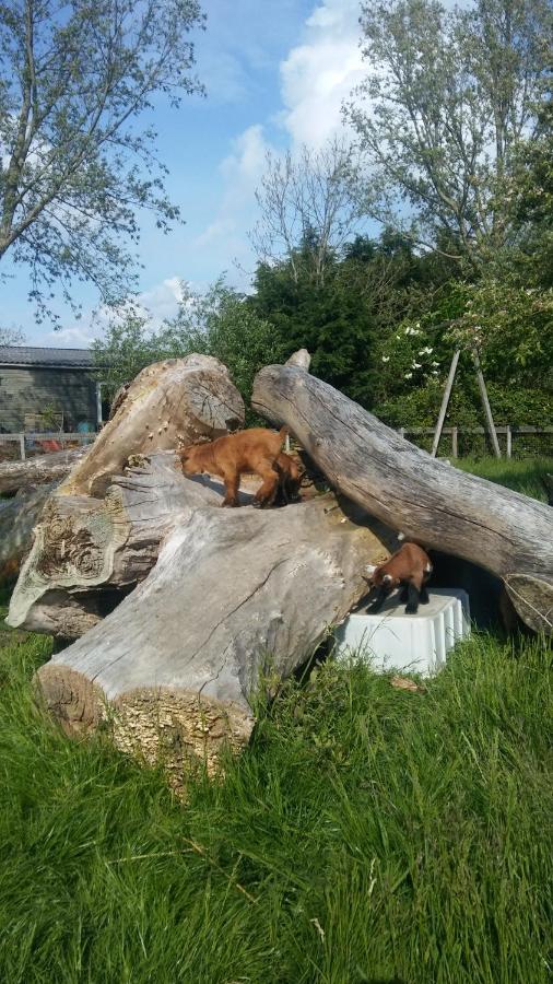 Boerenskuur De Bedstee Groen Assendelft Esterno foto