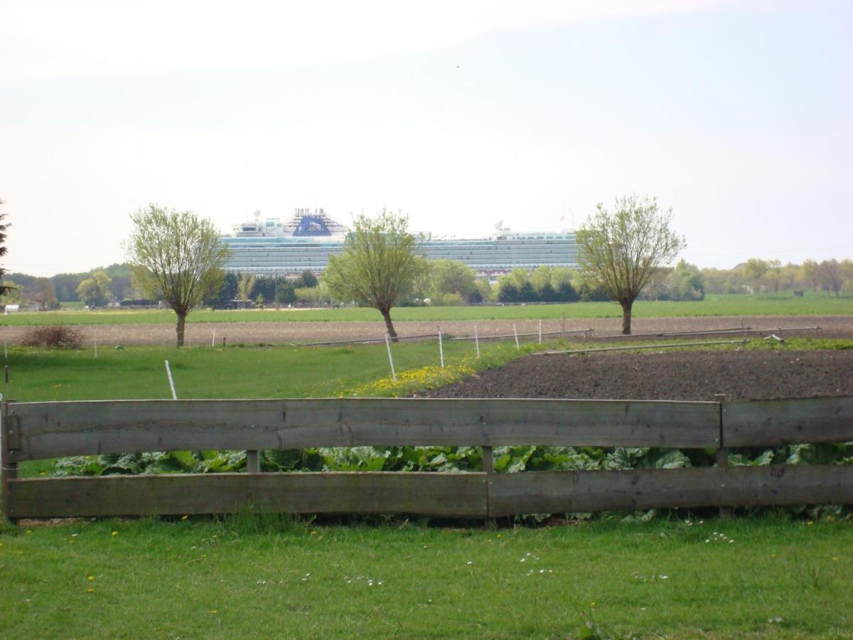 Boerenskuur De Bedstee Groen Assendelft Esterno foto